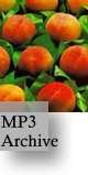 The MP3 Archive